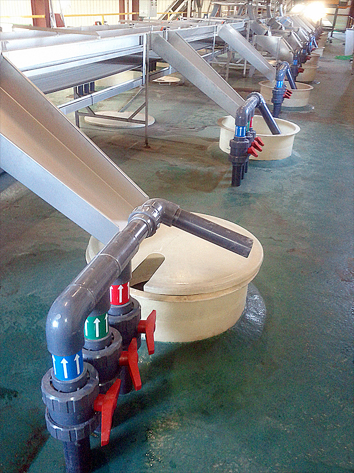 OLIVE PROCESSING PLANT. Santa Marta de los Barros, Badajoz