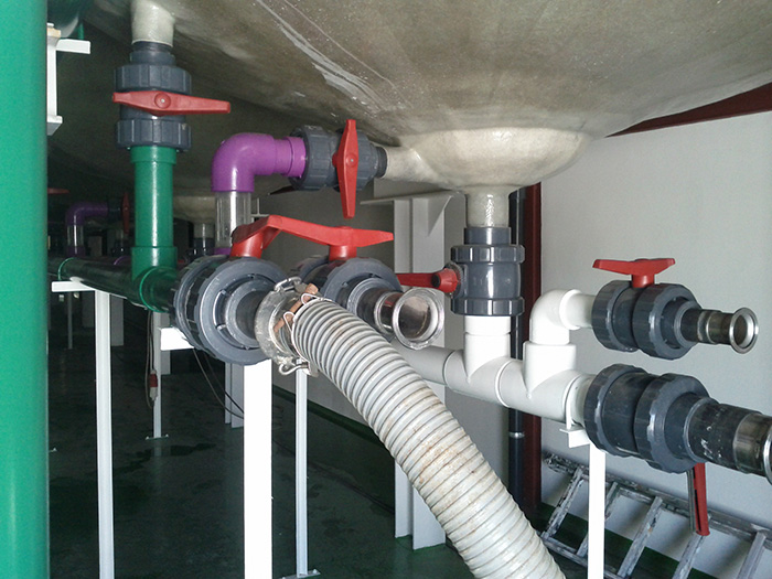 OLIVE PROCESSING PLANT. Santa Marta de los Barros, Badajoz